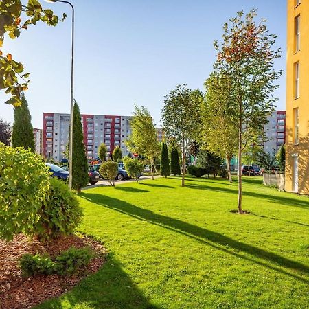 Apartment Richy براشوف المظهر الخارجي الصورة