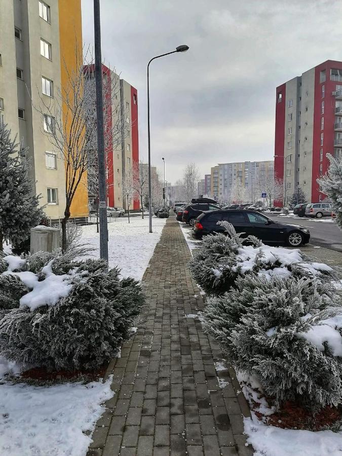Apartment Richy براشوف المظهر الخارجي الصورة