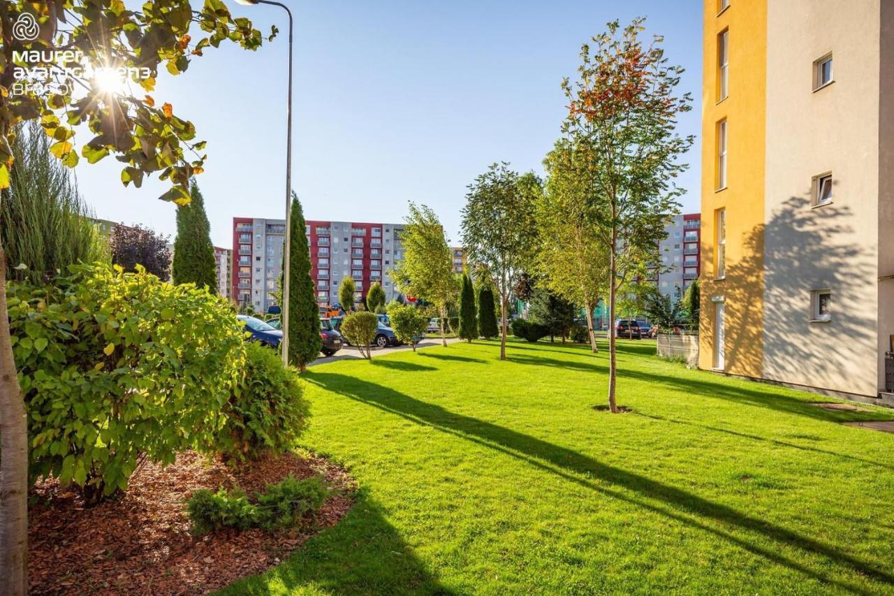 Apartment Richy براشوف المظهر الخارجي الصورة